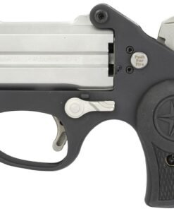 Bond Arms Stinger