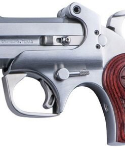 Bond Arms Texas Defender