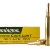 300 Win Mag Ammo