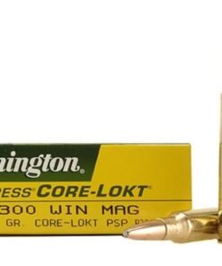 300 Win Mag Ammo