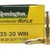 25-20 Ammo